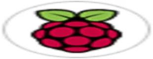 raspberry