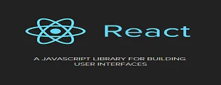 reactjs